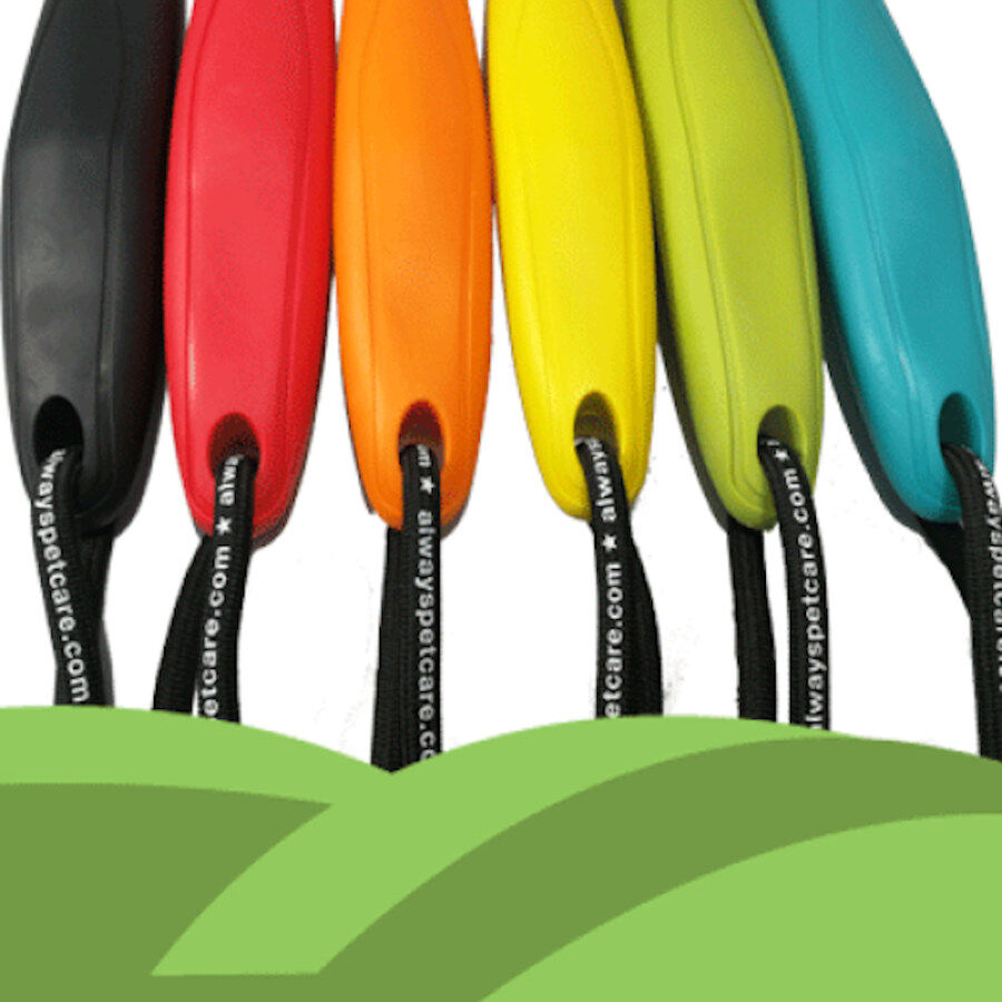 Always Pala Multicolor para gatos, , large Imagen numero 4